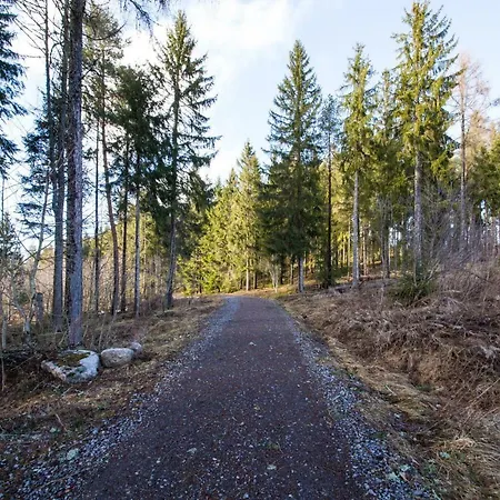 Apartamento Am Mit Balkon Pool Fitness Inkl Schluchsee