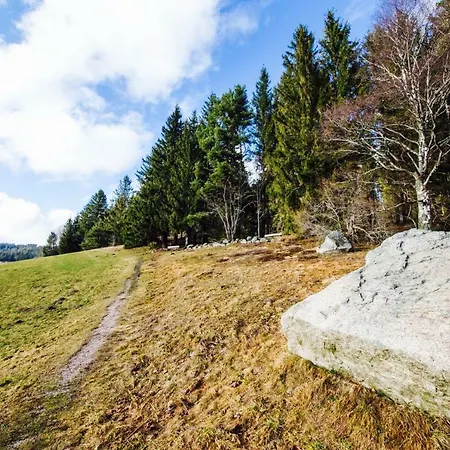 Am Mit Balkon Pool Fitness Inkl Apartamento Schluchsee