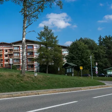 Apartment 20qm Mit Balkon Und Innenpool - 22040 Schluchsee